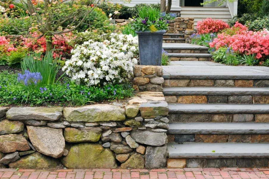 Stone garden steps set into planting